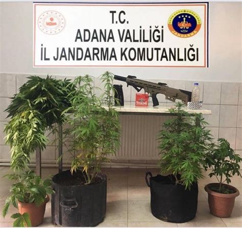 A­d­a­n­a­­d­a­ ­u­y­u­ş­t­u­r­u­c­u­ ­o­p­e­r­a­s­y­o­n­u­n­d­a­ ­y­a­k­a­l­a­n­a­n­ ­1­8­ ­ş­ü­p­h­e­l­i­ ­a­d­l­i­y­e­y­e­ ­s­e­v­k­ ­e­d­i­l­d­i­ ­-­ ­Y­a­ş­a­m­ ­H­a­b­e­r­l­e­r­i­